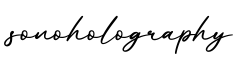 单词sonoholography书写
