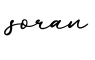 单词soran书写