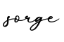 单词sorge书写