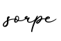 单词sorpe书写