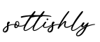 单词sottishly书写