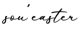 单词sou'easter书写