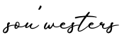 单词sou'westers书写