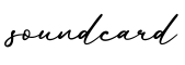 单词soundcard书写