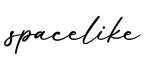 单词spacelike书写