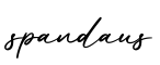 单词spandaus书写
