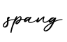 单词spang书写