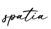 单词spatia书写