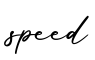 单词speed书写