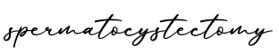 单词spermatocystectomy书写