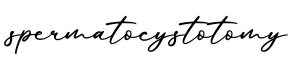 单词spermatocystotomy书写