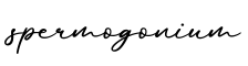 单词spermogonium书写