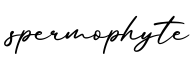单词spermophyte书写
