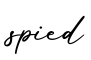 单词spied书写
