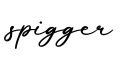 单词spigger书写
