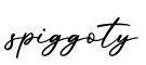 单词spiggoty书写