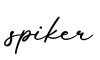 单词spiker书写