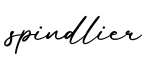 单词spindlier书写