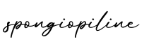 单词spongiopiline书写