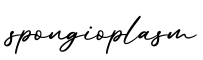 单词spongioplasm书写
