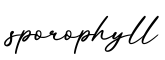 单词sporophyll书写