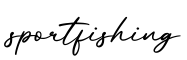 单词sportfishing书写
