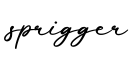 单词sprigger书写