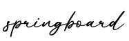 单词springboard书写