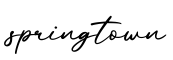 单词springtown书写