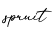 单词spruit书写
