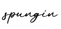 单词spungin书写