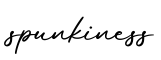 单词spunkiness书写