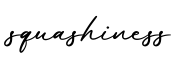 单词squashiness书写
