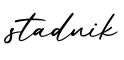 单词stadnik书写