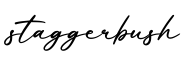 单词staggerbush书写