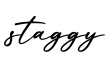 单词staggy书写