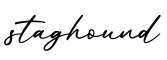 单词staghound书写