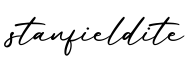 单词stanfieldite书写