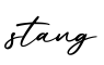 单词stang书写