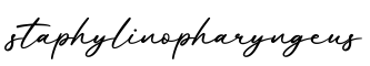 单词staphylinopharyngeus书写