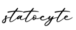 单词statocyte书写