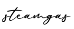 单词steamgas书写