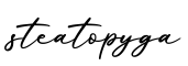 单词steatopyga书写