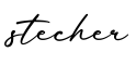 单词stecher书写