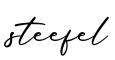 单词steefel书写