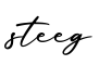 单词steeg书写