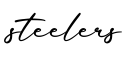 单词steelers书写