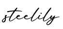 单词steelily书写