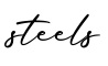 单词steels书写