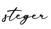 单词steger书写